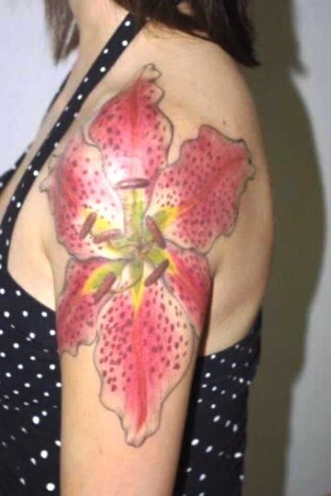 37 Stargazer Lily Tattoo Images